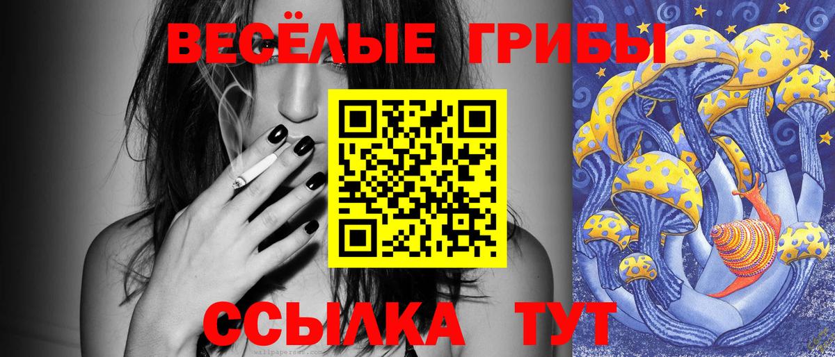 Галлюциногенные грибы ЛСД Елабуга