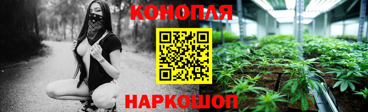 Марихуана OG Kush Елабуга